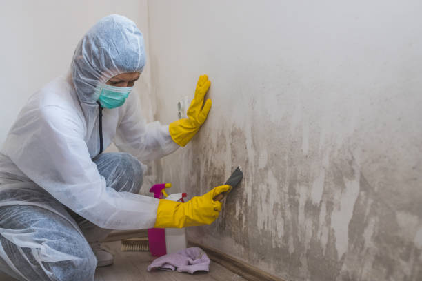 Best Emergency Mold Removal  in Fort Totten, ND