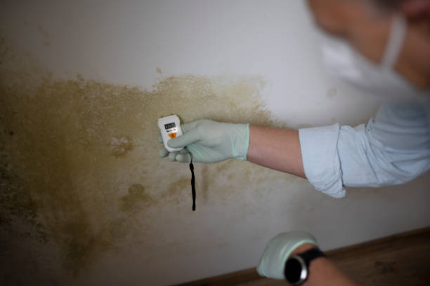 Best Residential Mold Removal  in Fort Totten, ND